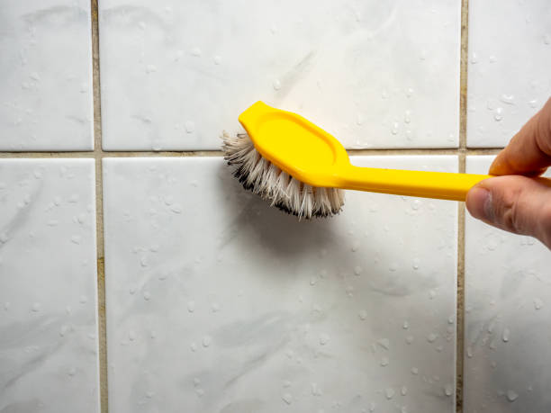 Best Certified Mold Removal  in Wyandanch, NY