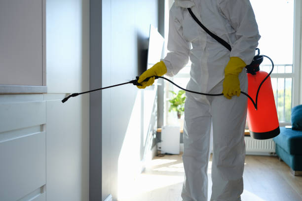 Best Residential Mold Removal  in Wyandanch, NY