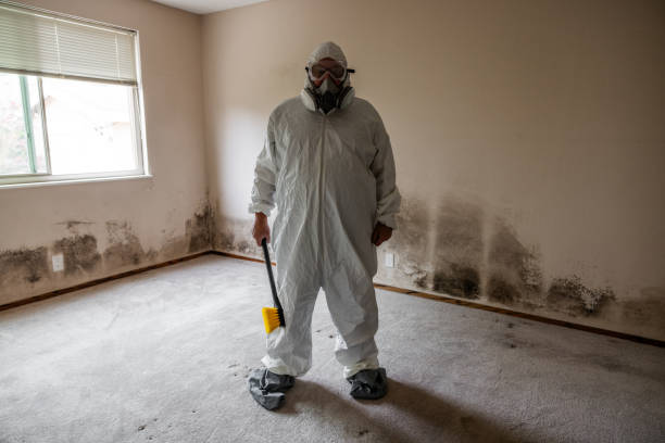 Best Office Mold Removal Services  in Wyandanch, NY