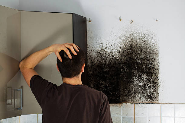 Mold Testing and Removal in Wyandanch, NY